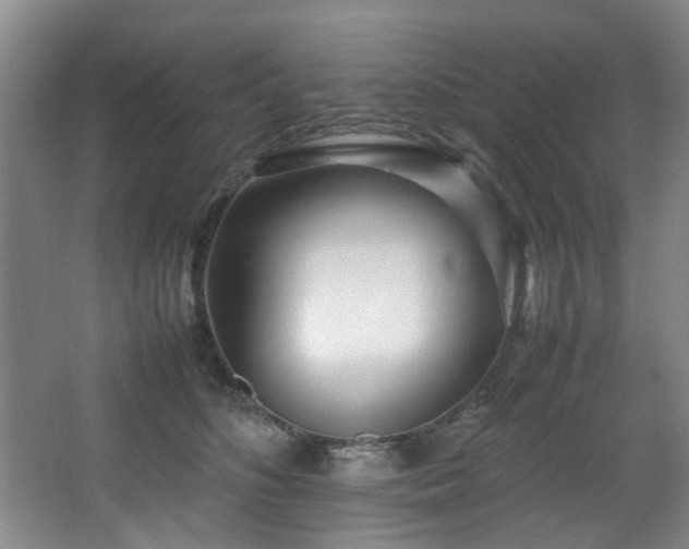 X0000067360516200603311222