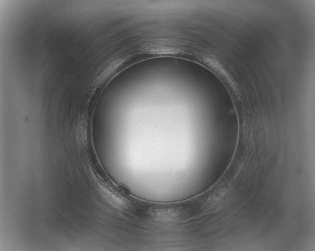 X0000067360533200603311221