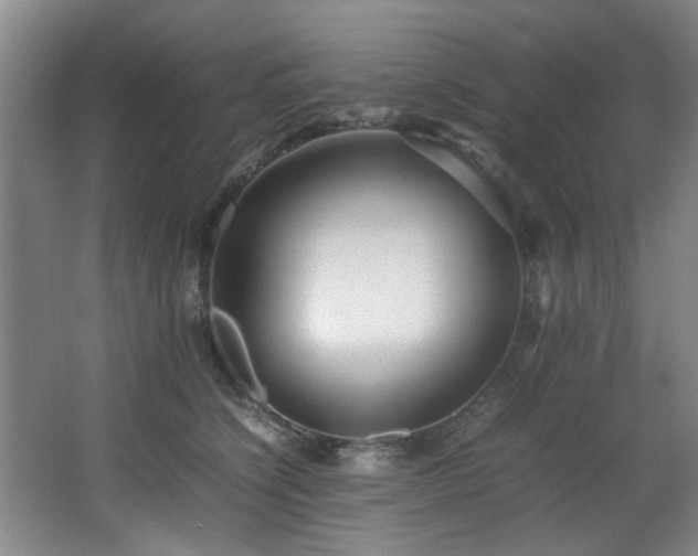 X0000067360564200603311221