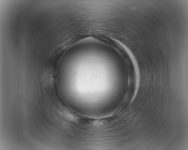X0000067360566200603311221