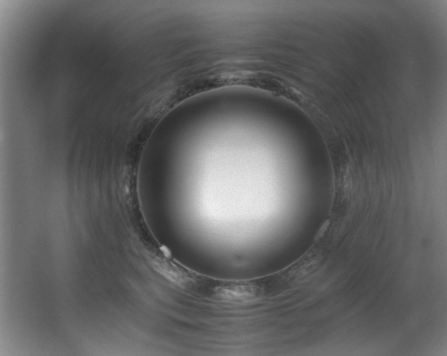 X0000067360567200603311221