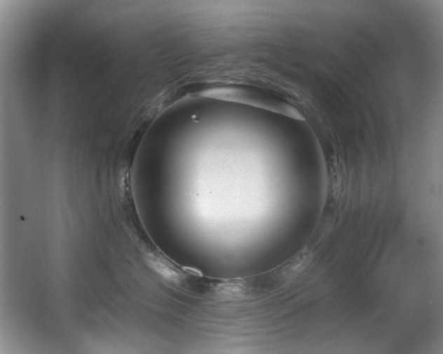 X0000067360574200603311221