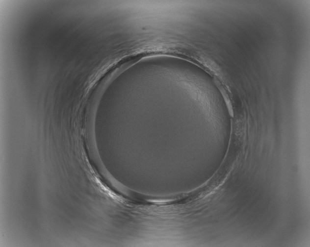 X0000067360577200603311221