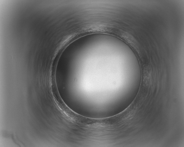 X0000067360578200603311221