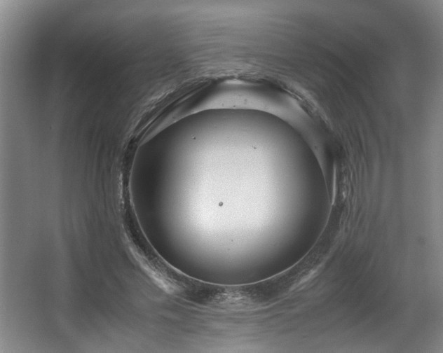 X0000067360589200603311220