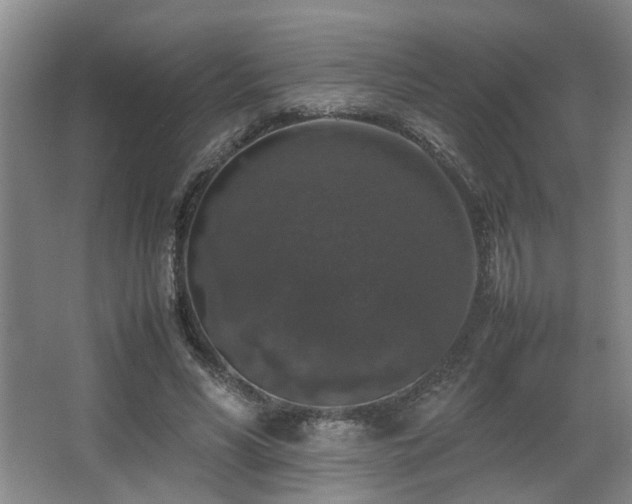 X0000067360590200603311220