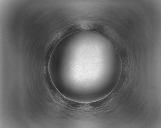 X0000067360595200603311220