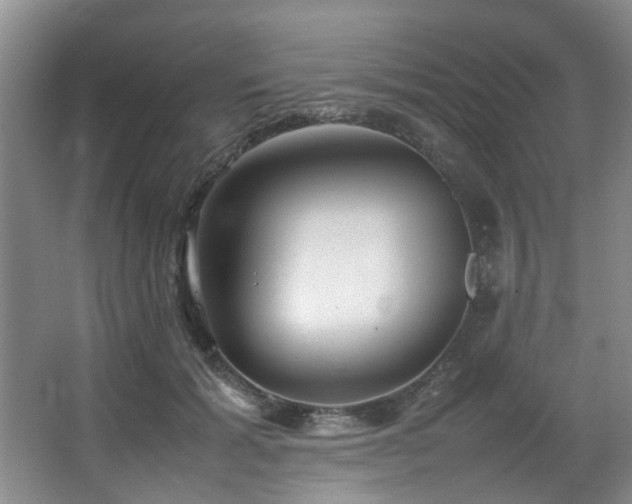 X0000067360605200603311220