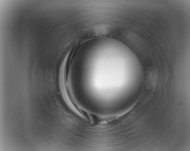 X0000067360608200603311220