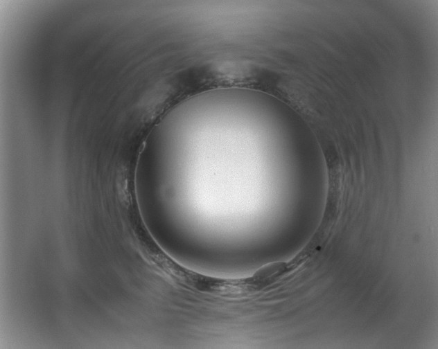 X0000067360615200603311220