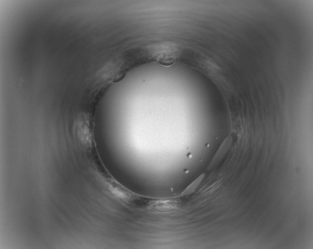 X0000067360622200603311220