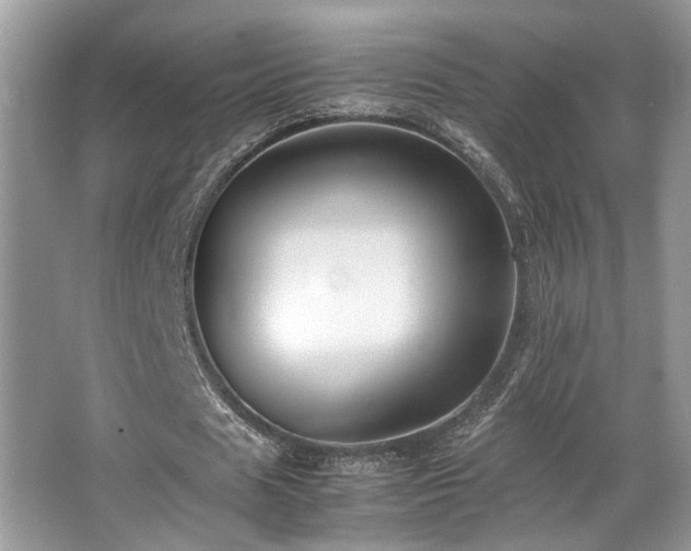 X0000067360625200603311219
