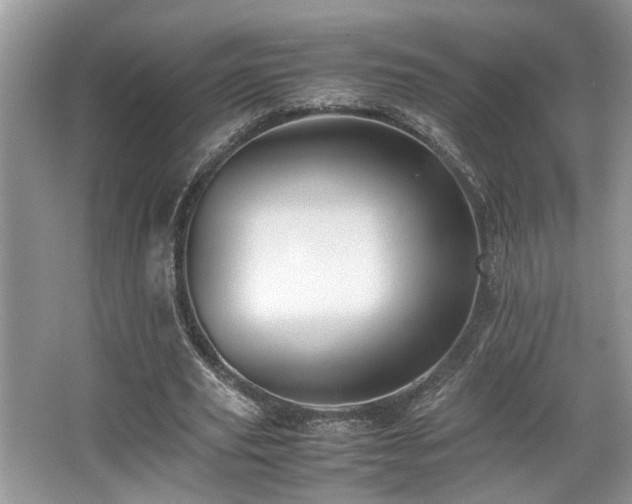 X0000067360629200603311219
