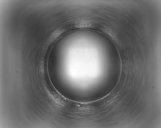 X0000067360631200603311219