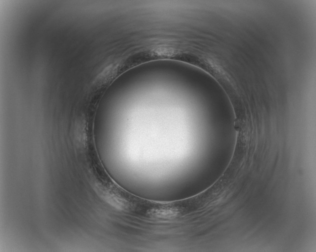 X0000067360639200603311219