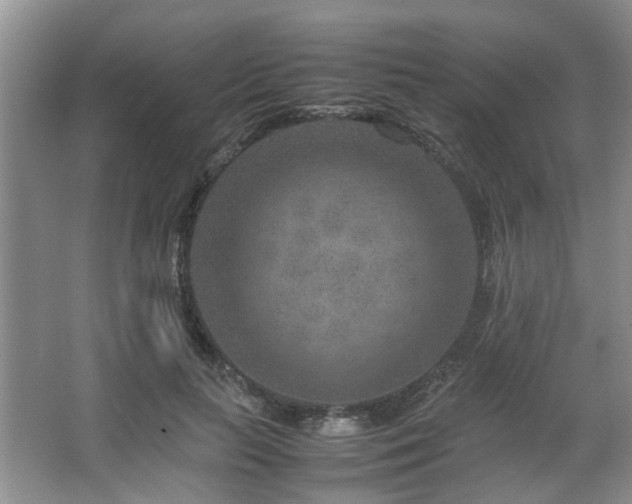 X0000067360647200603311219