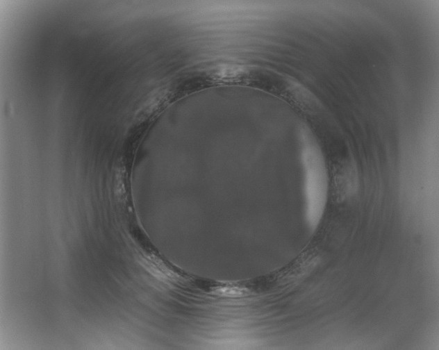 X0000067360654200603311219