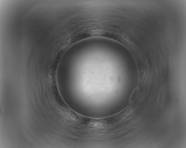 X0000067360655200603311219