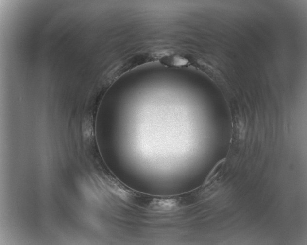 X0000067360665200603311220
