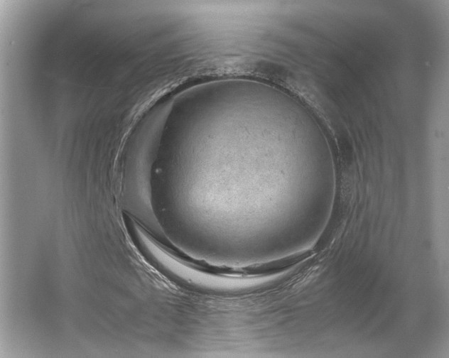 X0000067360673200603311219