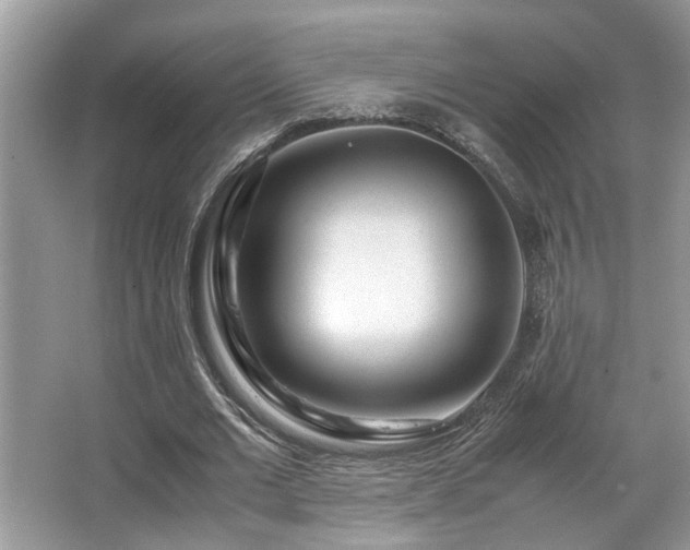 X0000067360677200603311219