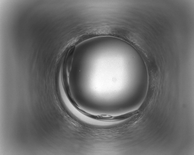 X0000067360681200603311219