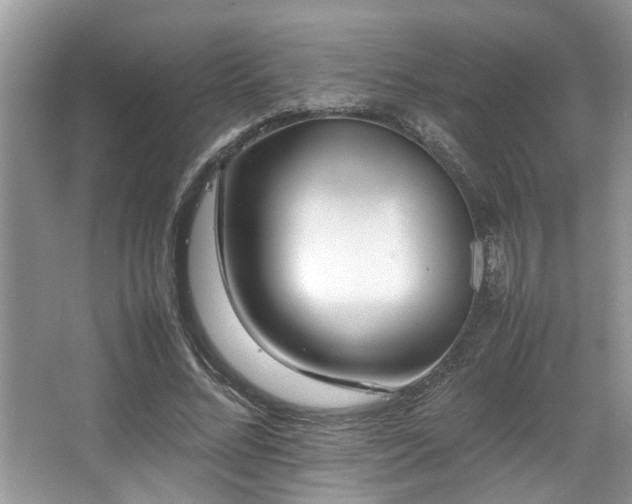 X0000067360684200603311219