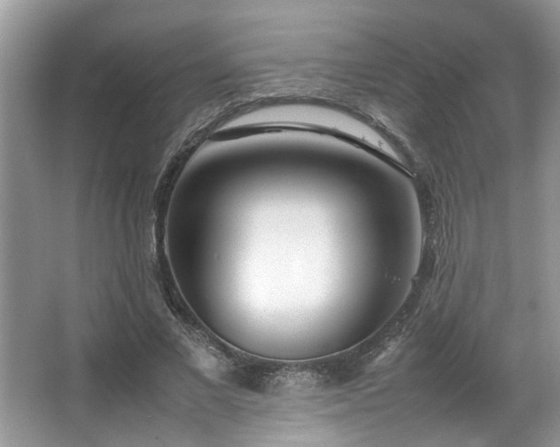 X0000067360685200603311219