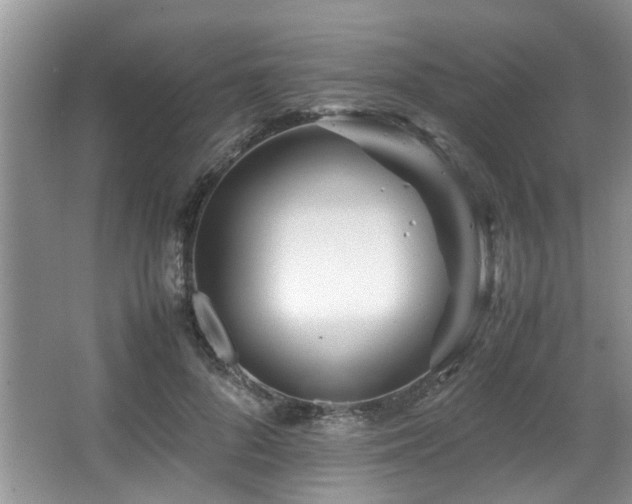 X0000067360696200603311218