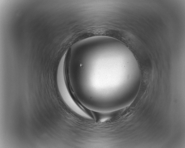 X0000067360697200603311218