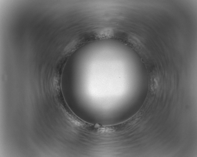 X0000067360714200603311218