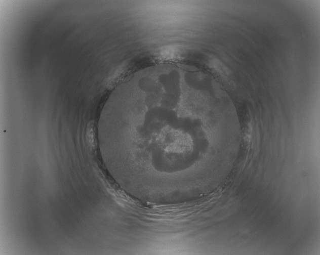 X0000067360715200603311218