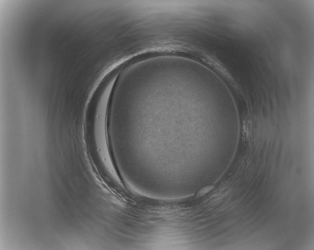 X0000067360724200603311217