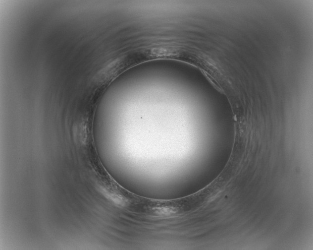 X0000067360741200603311218