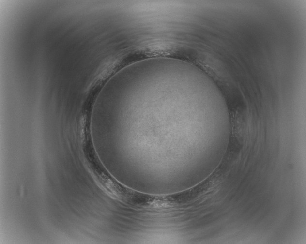 X0000067360742200603311218