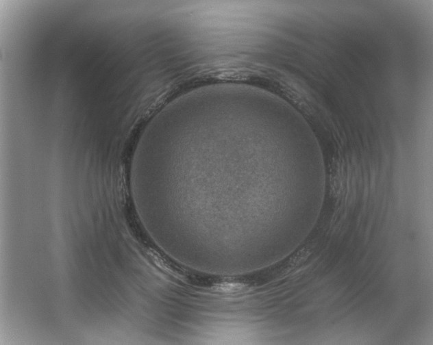 X0000067360748200603311218