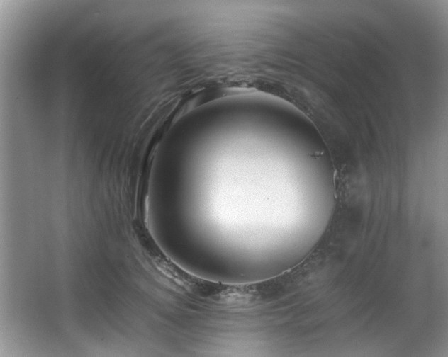 X0000067360756200603311218