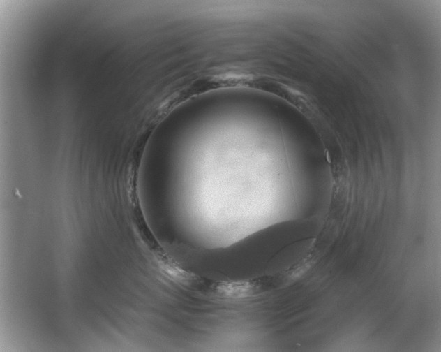 X0000067360767200603311218