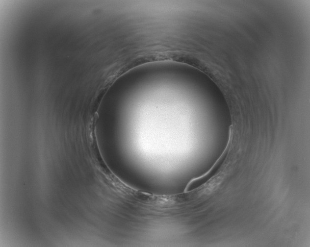 X0000067360768200603311218
