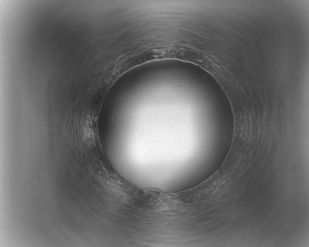 X0000067360770200603311217