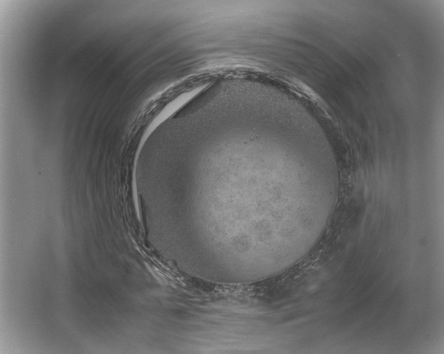 X0000067360775200603311217