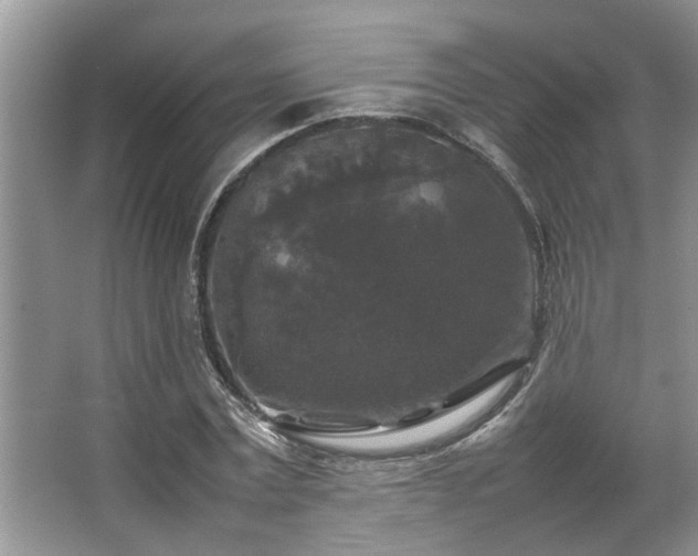 X0000067360779200603311217