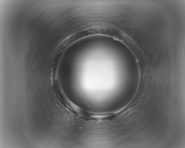 X0000067360822200603311216