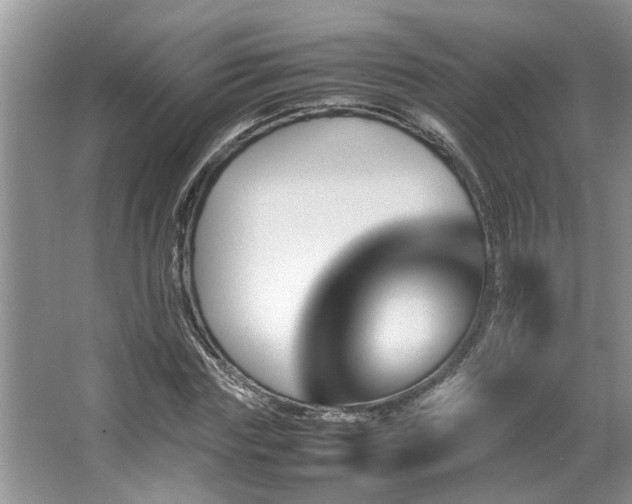 X0000067360827200603311216