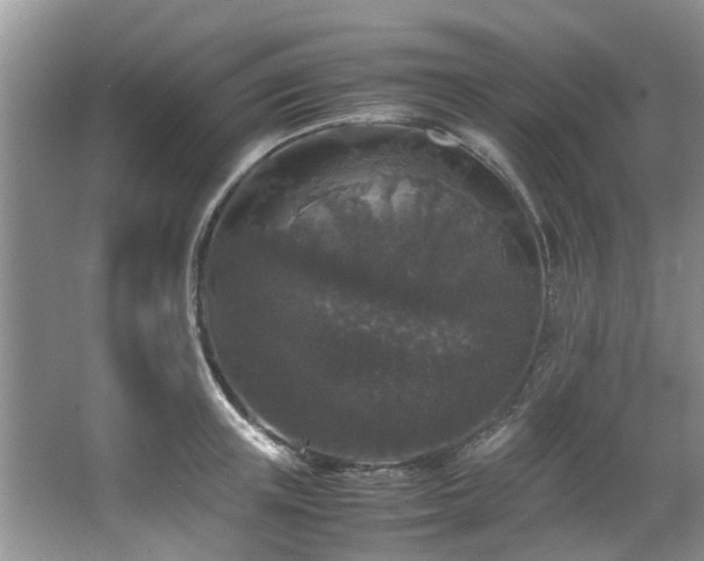 X0000067360851200603311216