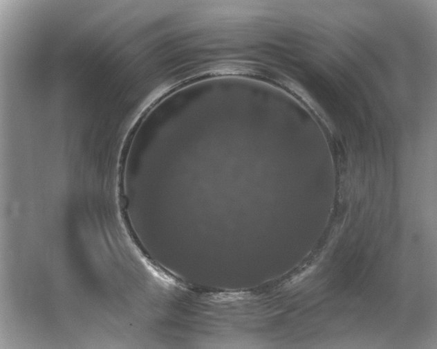 X0000067360853200603311216