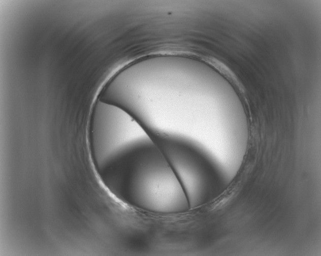 X0000067360855200603311216