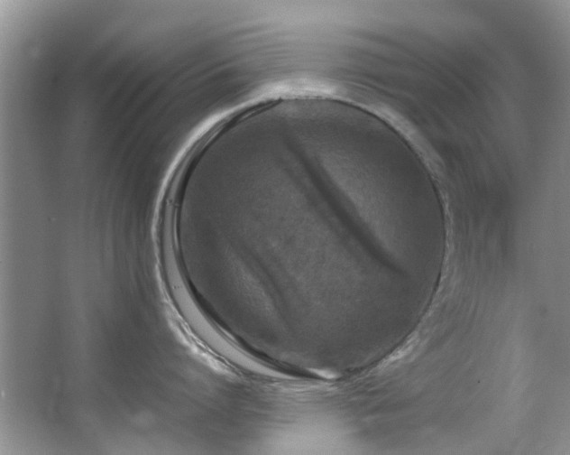 X0000067360864200603311216