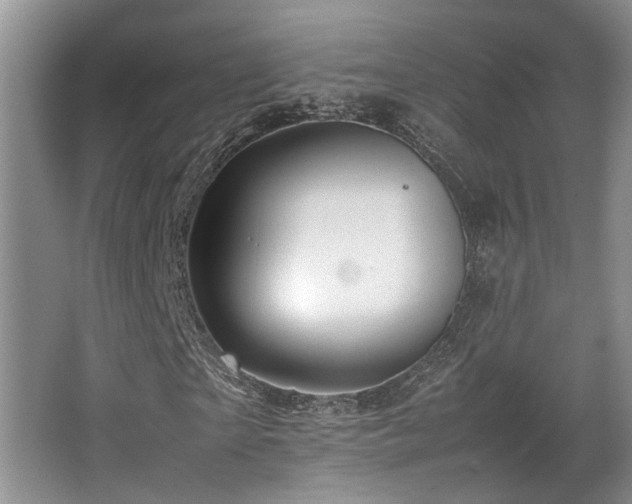 X0000067360865200603311216