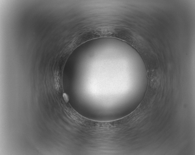X0000067360866200603311216
